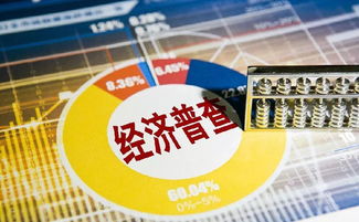 苏州市吴江区第四次全国经济普查来了,或许关系到你哦