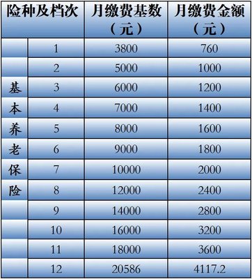 苏州灵活就业养老保险缴费标准