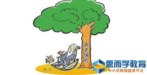 苏州养老保险信息查询指南 咨询电话与便捷途径